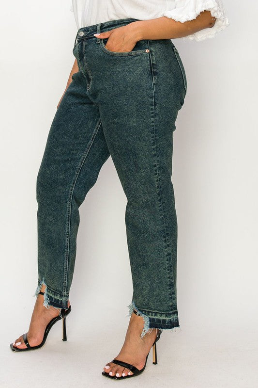 Lucy Plus High Rise Stretch Straight Jeans