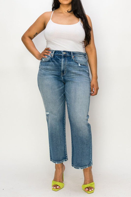 Mackenzie Plus High Rise Stretch Distressed Ankle Straight Jeans