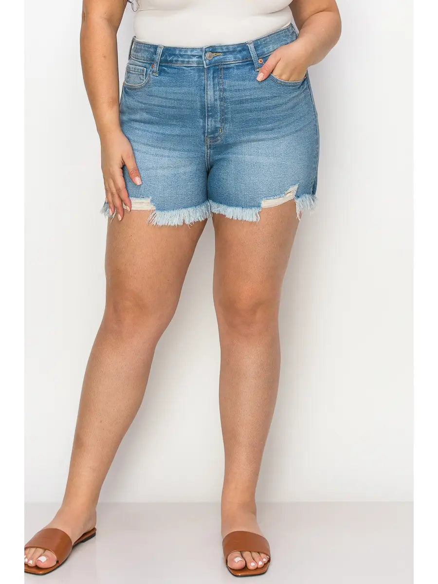 Plus High Rise Stretch Shorts