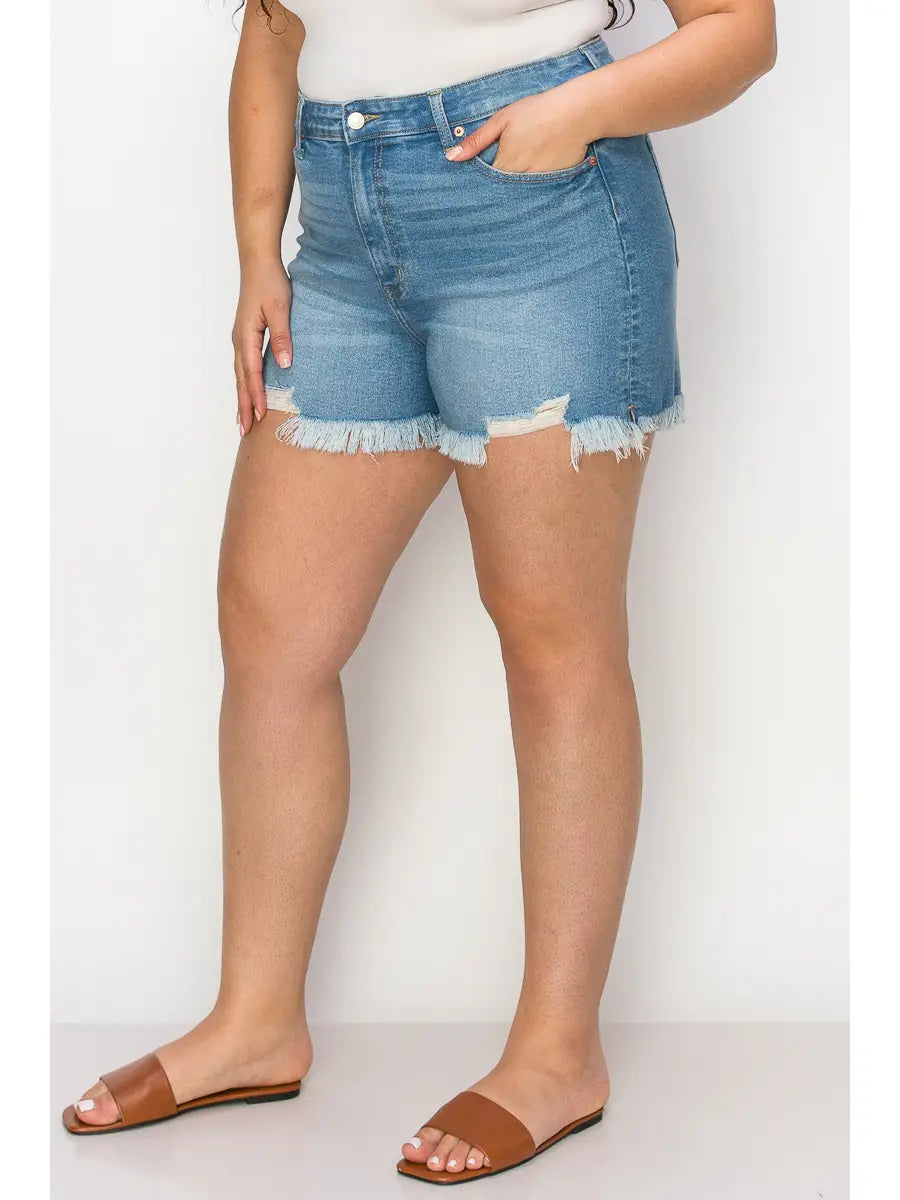 Plus High Rise Stretch Shorts